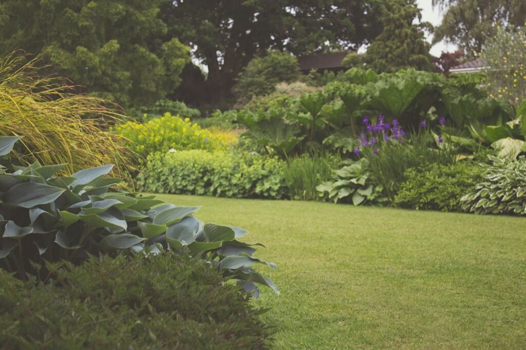 Jardin anciennement entretenu par un paysagiste sur caen qui a installé un robot ecovacs